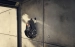 659fbf39ec6ea.webp