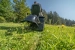 7113-1.webp